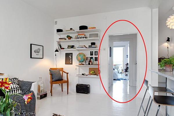 Top 3 con giáp có rất nhiều hoài bão nhưng không phải lúc nào cũng thành công-4