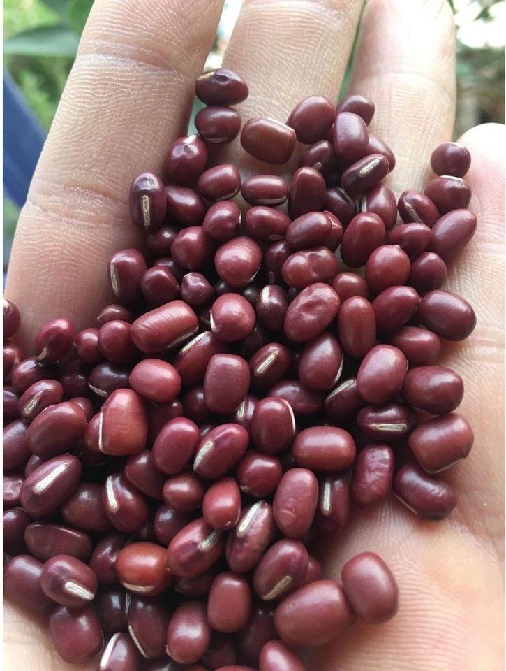 Hí hửng mua 19 cốc sữa chua đậu đỏ ăn ngày Thất tịch, cô gái trẻ vội tố cửa hàng bán nhầm đậu đen nhưng sự thật lại không ngờ-7