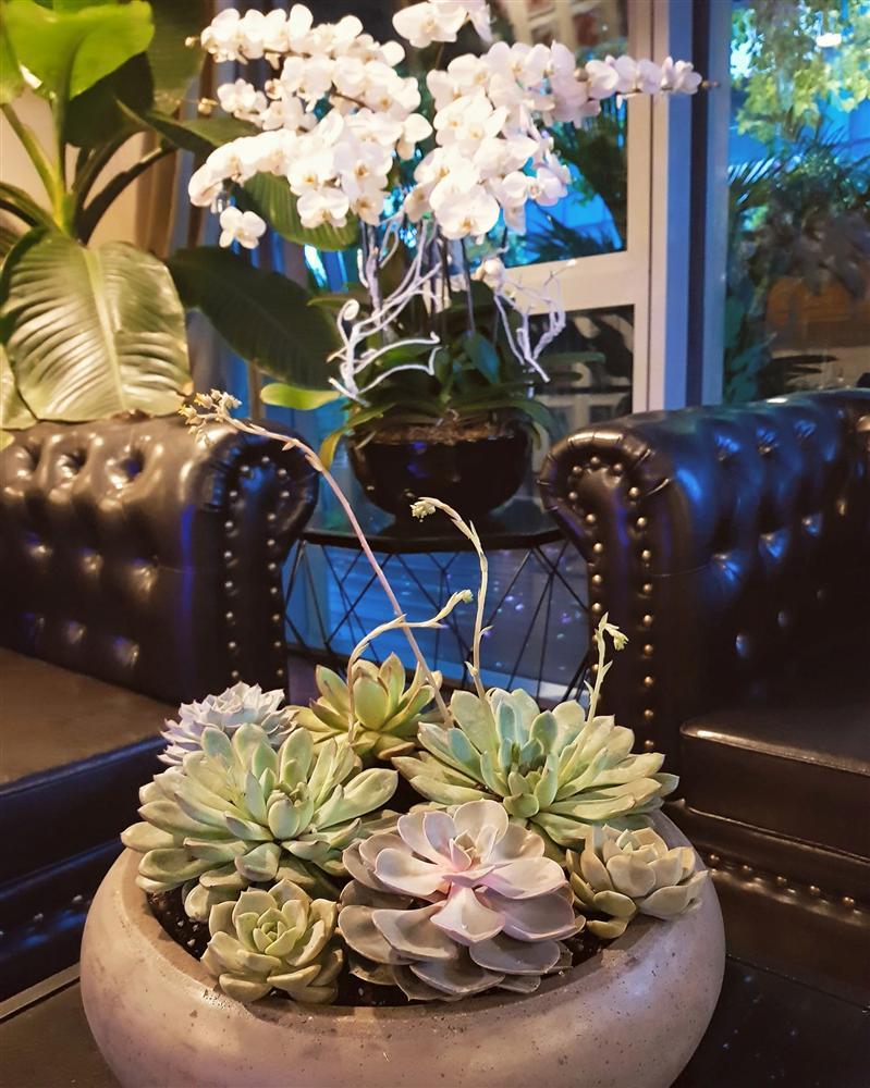 Hé lộ phòng khách sang chảnh trong căn hộ 70 tỷ của Nathan Lee-4