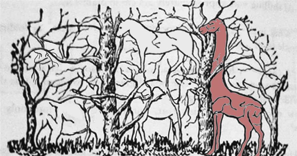 Con vật đầu tiên nhìn thấy tiết lộ bạn có phải là nhà lãnh đạo tài ba-3