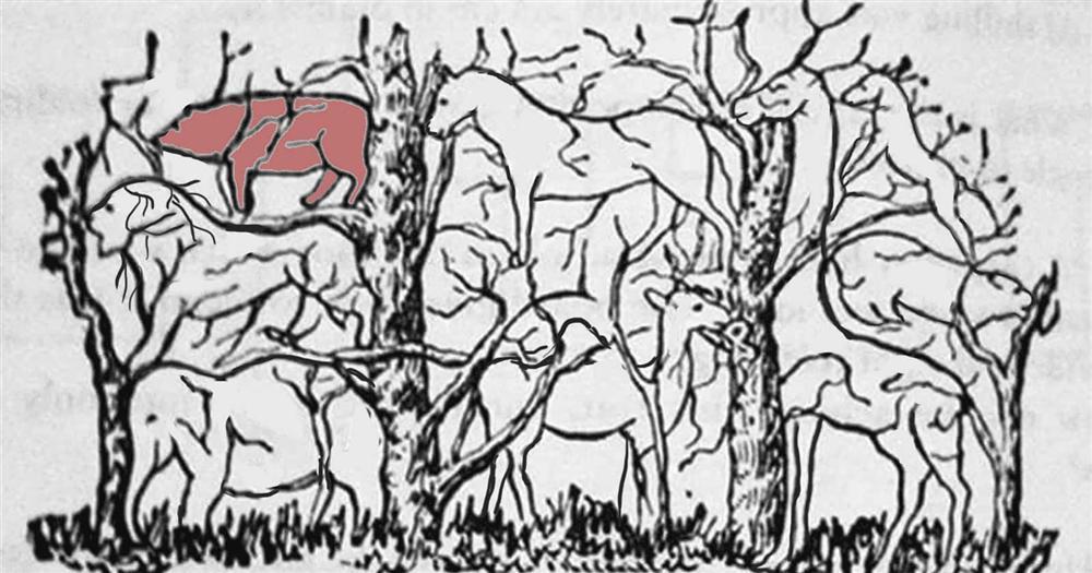 Con vật đầu tiên nhìn thấy tiết lộ bạn có phải là nhà lãnh đạo tài ba-4