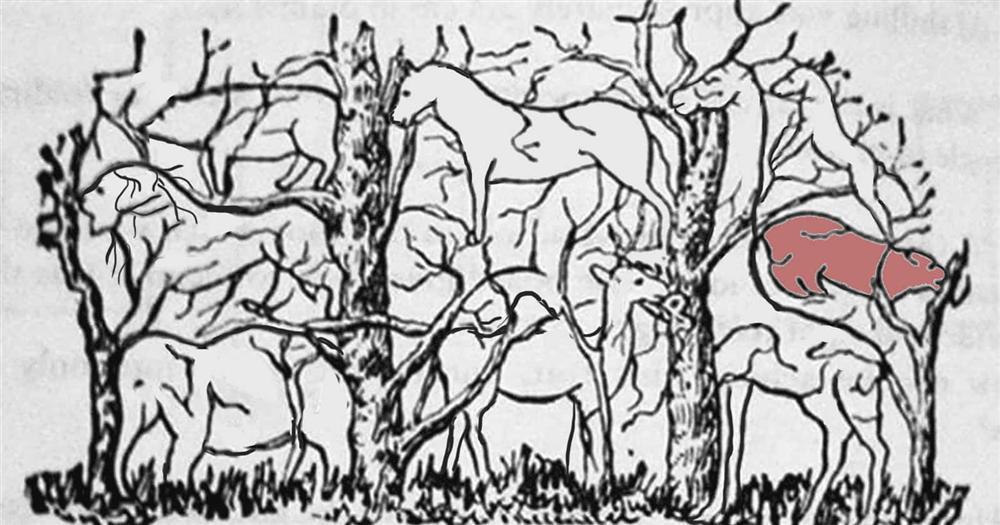 Con vật đầu tiên nhìn thấy tiết lộ bạn có phải là nhà lãnh đạo tài ba-6