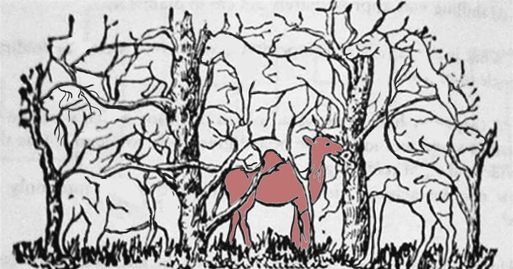 Con vật đầu tiên nhìn thấy tiết lộ bạn có phải là nhà lãnh đạo tài ba-7