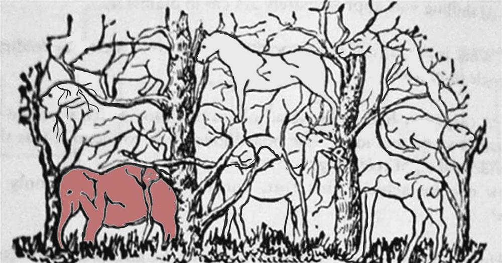 Con vật đầu tiên nhìn thấy tiết lộ bạn có phải là nhà lãnh đạo tài ba-8