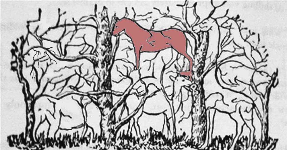 Con vật đầu tiên nhìn thấy tiết lộ bạn có phải là nhà lãnh đạo tài ba-9