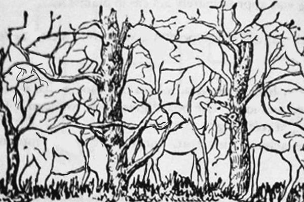 Bạn nhìn thấy con mèo hay con chuột? Câu trả lời tiết lộ tài năng ưu việt của bạn-2