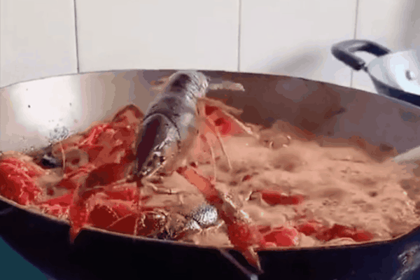 Luộc tôm kỵ nhất cho thẳng vào nồi, thêm bước nữa tôm vừa ngọt lại không tanh-5