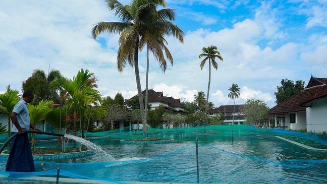 Khu nghỉ dưỡng Ấn Độ biến hồ bơi thành bể nuôi cá-1