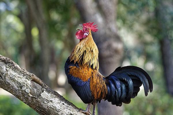 Cung hoàng đạo tiền vào như nước, tình duyên phơi phới trong tháng 9 dương-4