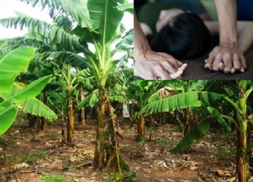 Truy tìm yêu râu xanh hiếp dâm bé gái 12 tuổi trong vườn chuối-1