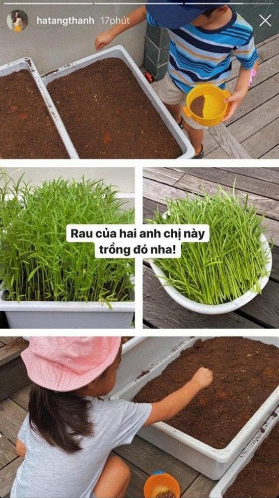 Tăng Thanh Hà khéo giáo dục con bằng những trải nghiệm cuộc sống-14