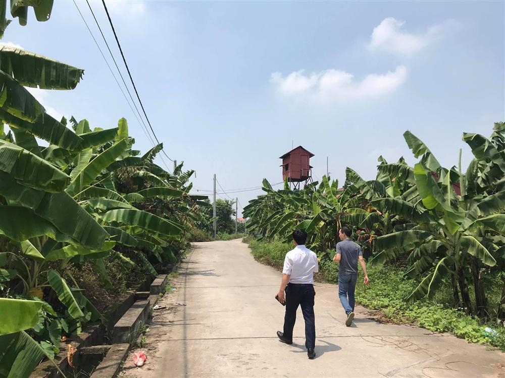 Bé gái ở Hà Nội bị hãm hiếp trong vườn chuối: 2 cháu bé chạy lại cổng trang trại la hét-1