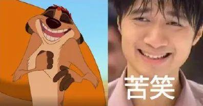 Chùm ảnh max hài: Sao Hoa ngữ giống hệt các nhân vật hoạt hình-11