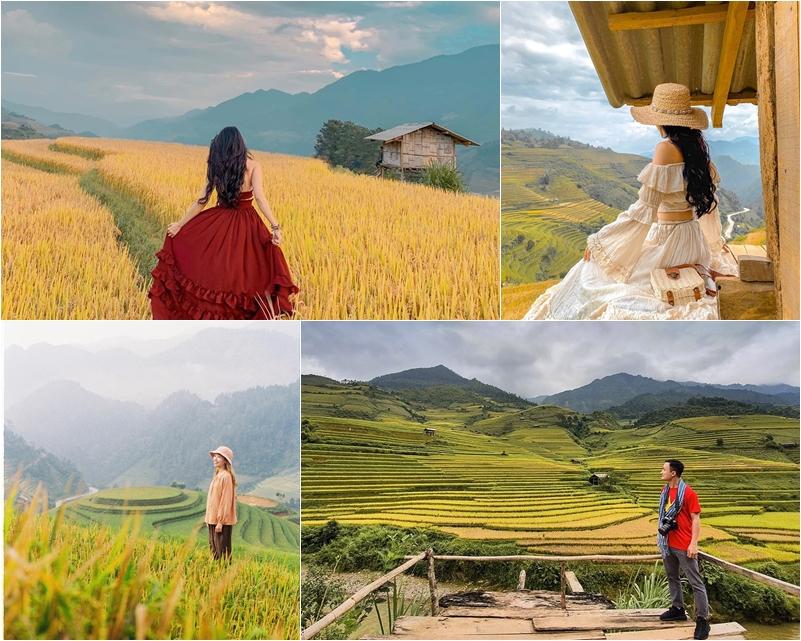 Lịch trình săn mùa vàng cho hội sống ảo làm bộ hình đẹp như một giấc mơ-1