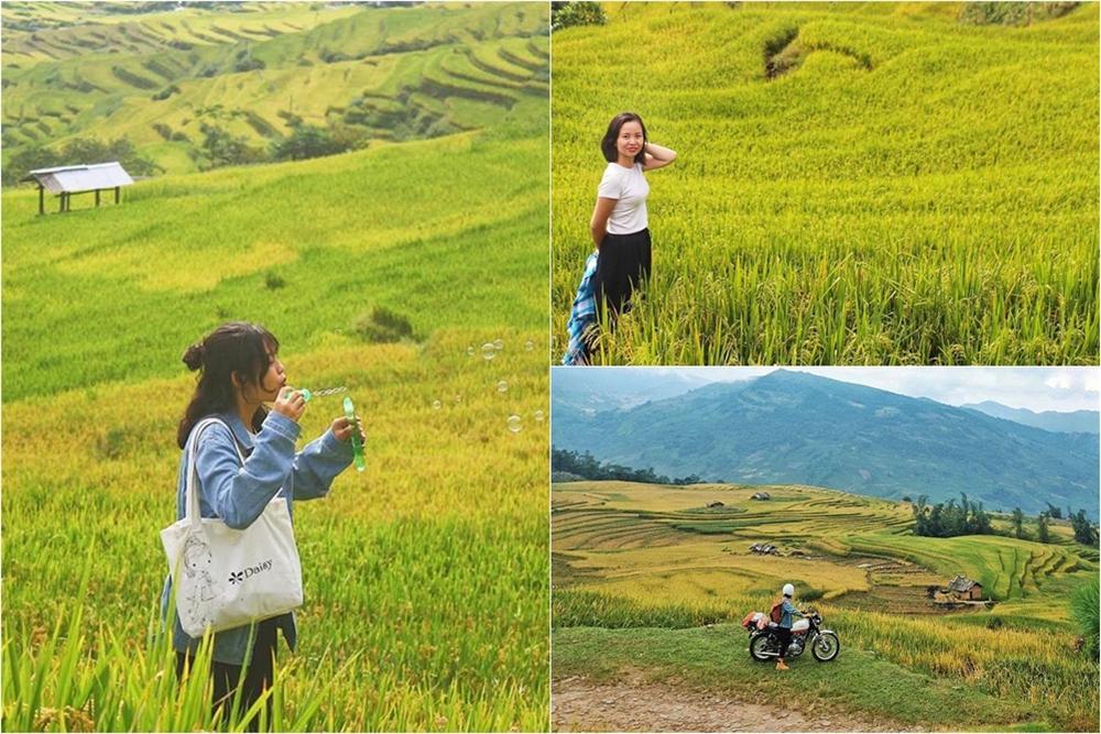 Lịch trình săn mùa vàng cho hội sống ảo làm bộ hình đẹp như một giấc mơ-3