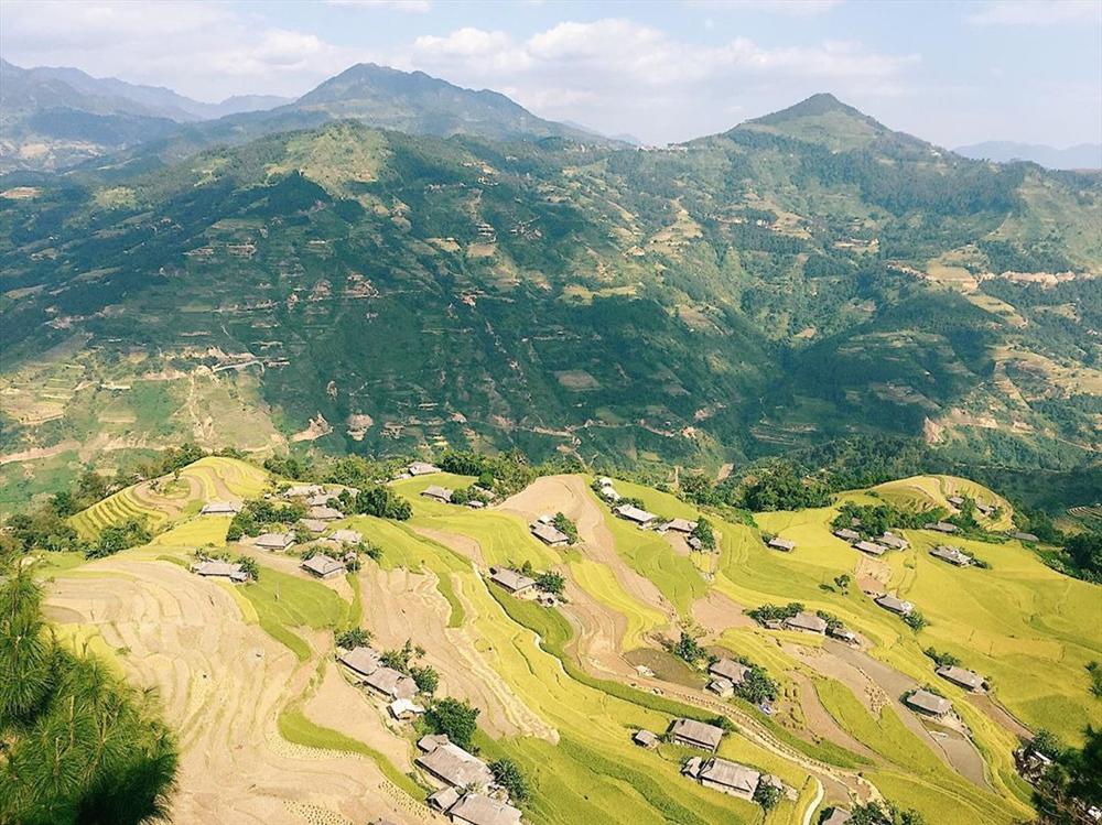 Lịch trình săn mùa vàng cho hội sống ảo làm bộ hình đẹp như một giấc mơ-2