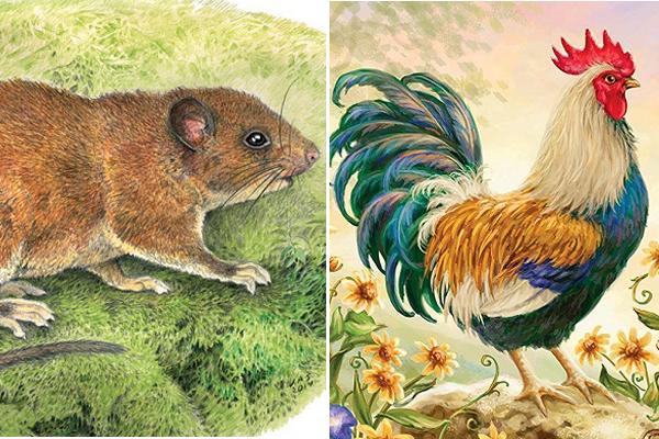 Phụ nữ chỉ cần sở hữu phúc tướng này, khó khăn mấy cũng vượt qua, sau 40 tuổi viên mãn-4