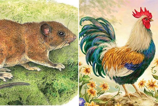 Top 4 con giáp luôn là người hành động trước và rất nhanh nhẹn chuẩn xác