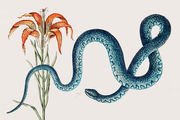 Top 4 con giáp luôn là người hành động trước và rất nhanh nhẹn chuẩn xác-3