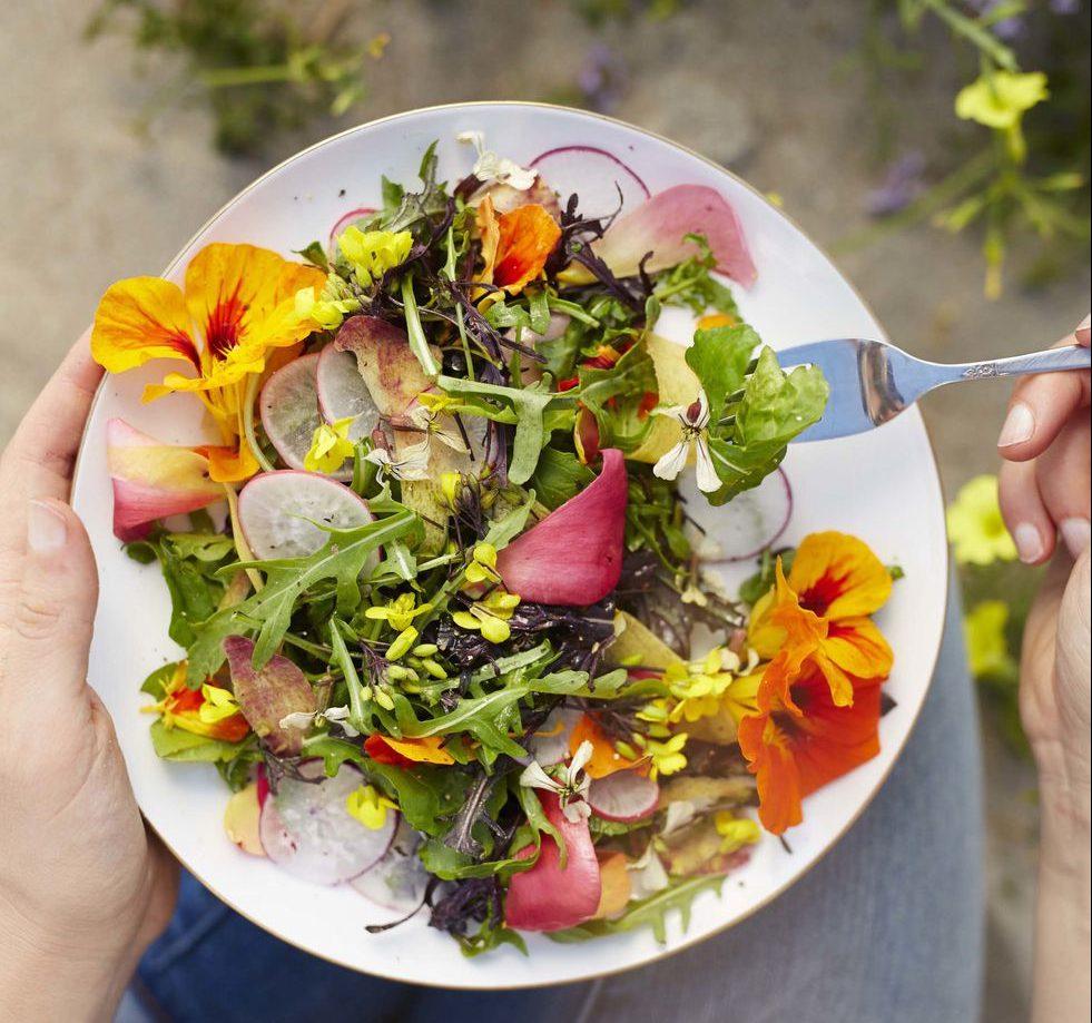 Chẳng ai nghĩ 7 loại hoa ngắm thấy mê này không những ăn được mà còn ngon nhức nách-2