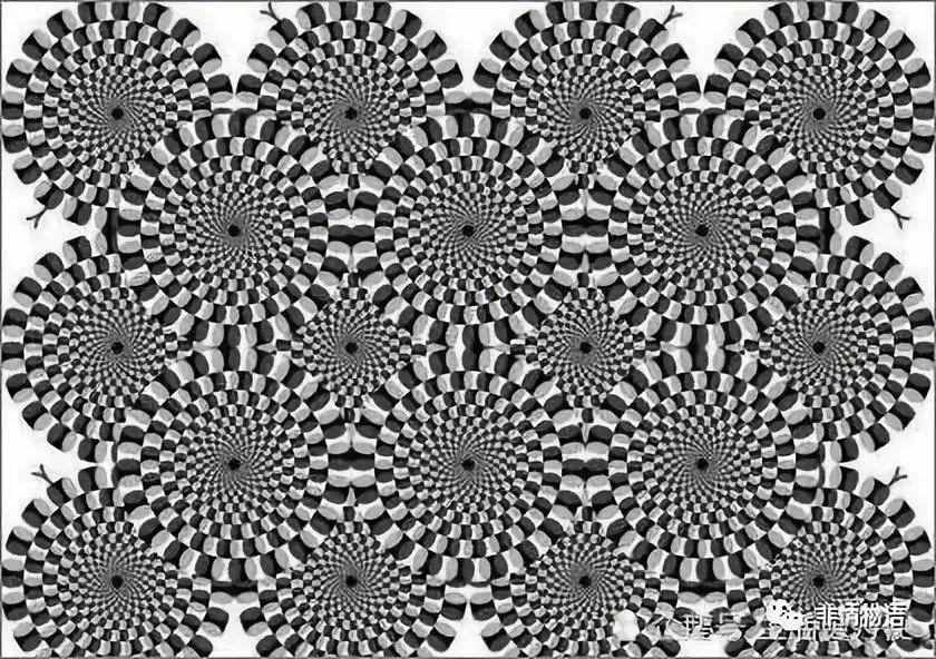 Bức ảnh chuyển động nhiều nhất cho biết mức độ stress của bạn-2