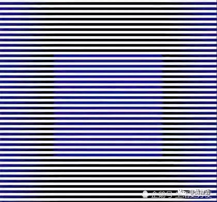 Bức ảnh chuyển động nhiều nhất cho biết mức độ stress của bạn-3