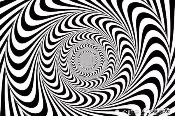 Loài hoa cúc thích nhất tiết lộ bạn là người bình thường hay có bản lĩnh-2