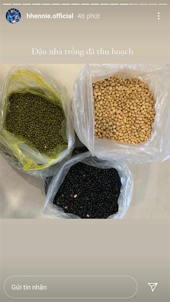 HHen Niê khoe nông sản bố mẹ gửi lên thành phố khiến ai nhìn cũng thích-4