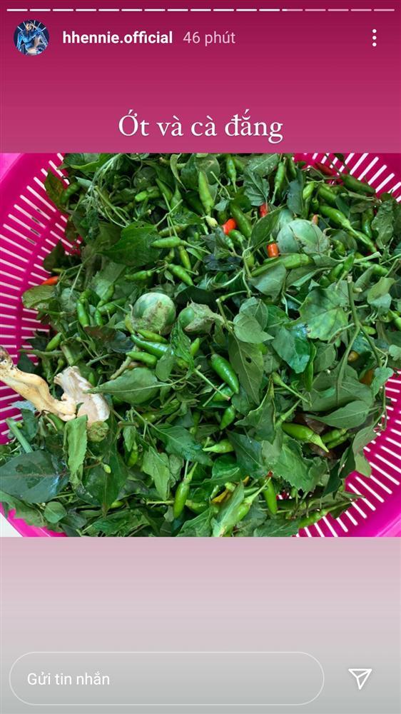 HHen Niê khoe nông sản bố mẹ gửi lên thành phố khiến ai nhìn cũng thích-2