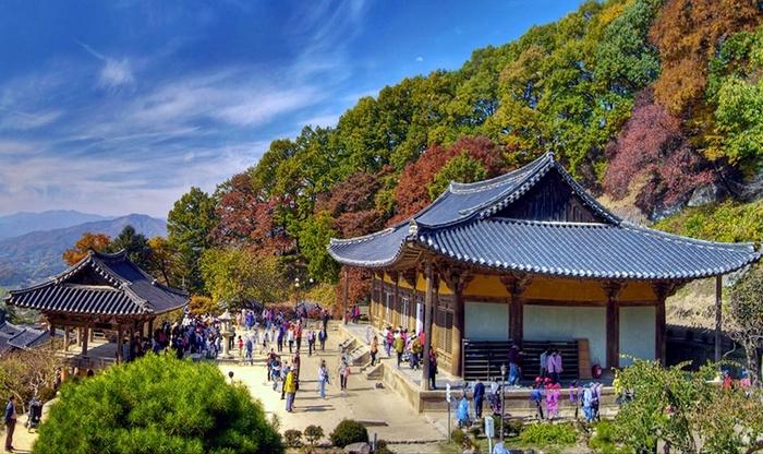 Tận hưởng trọn vẹn sự bình yên trong một lần đến vùng nông thôn ở Hàn Quốc-1