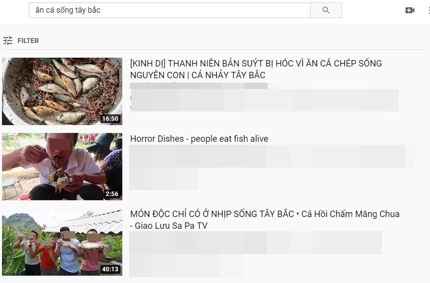 Những màn câu like kinh hãi của Youtuber Việt khi ăn tất tật từ cá sống đến gỏi côn trùng-1