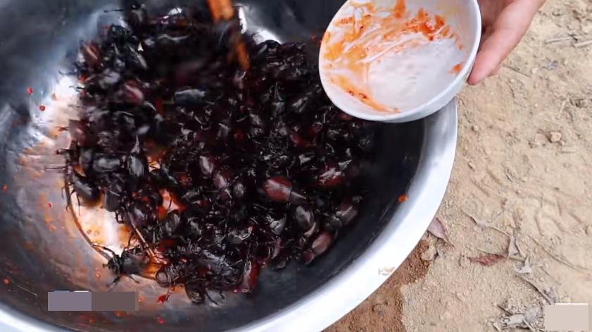 Những màn câu like kinh hãi của Youtuber Việt khi ăn tất tật từ cá sống đến gỏi côn trùng-12