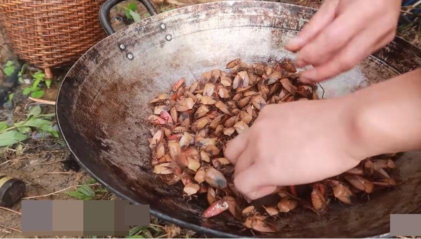 Những màn câu like kinh hãi của Youtuber Việt khi ăn tất tật từ cá sống đến gỏi côn trùng-14