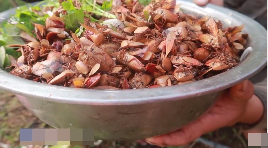 Những màn câu like kinh hãi của Youtuber Việt khi ăn tất tật từ cá sống đến gỏi côn trùng-15