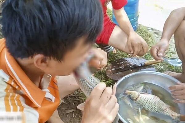 Ngưỡng mộ tài nấu ăn: Tạo hình gỏi cuốn thành bức tranh đậm đà bản sắc Việt-13