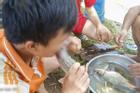 Những màn câu like kinh hãi của Youtuber Việt khi ăn tất tật từ cá sống đến gỏi côn trùng