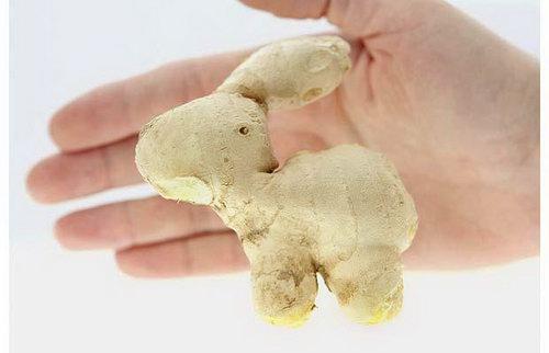 Đỏ mặt với ngoại hình không giống ai của các loại rau củ quả-2