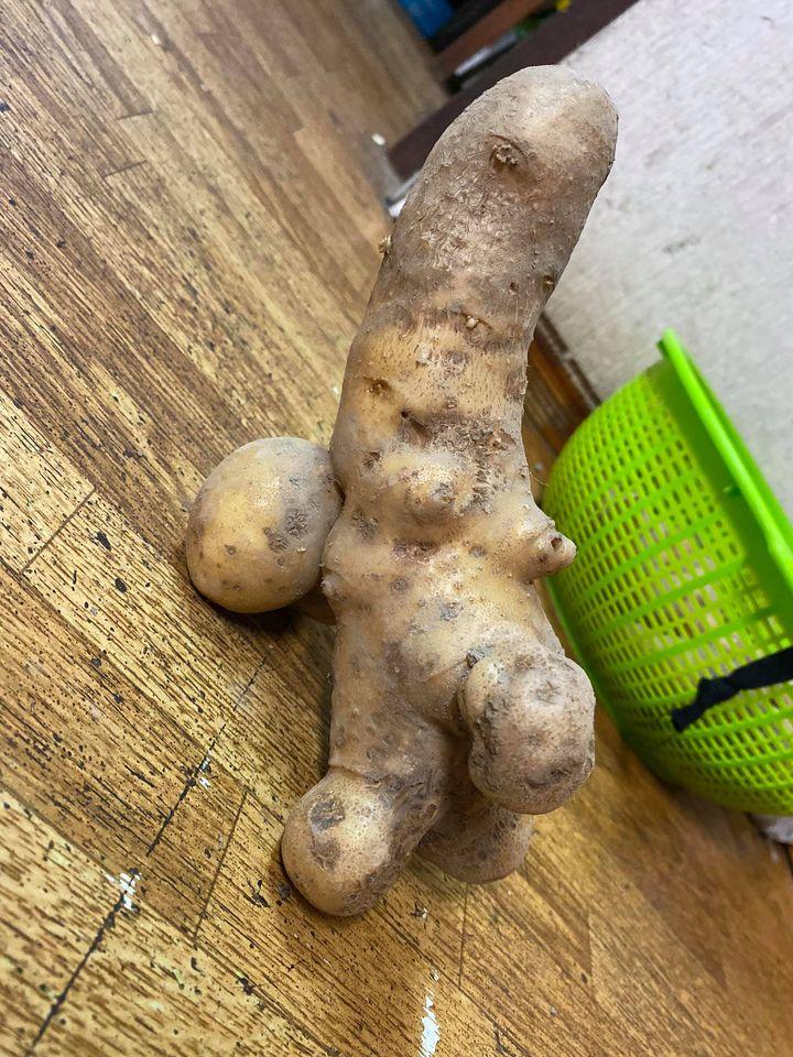 Đỏ mặt với ngoại hình không giống ai của các loại rau củ quả-3