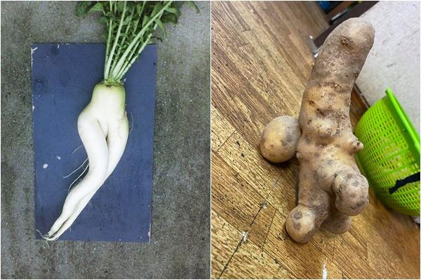 4 loại rau ai cũng thích ăn cần chần trước khi nấu vì chứa độc tố, ít ai biết-5