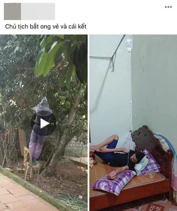 Thanh niên mặc áo mưa kín mít rình cắt tổ ong nhưng không ngờ nhận cái kết sấp mặt-1