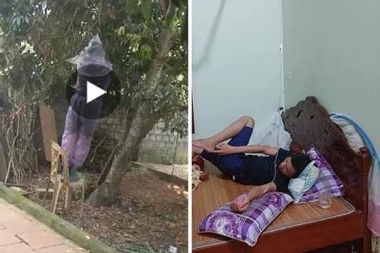 Thanh niên mặc áo mưa kín mít rình cắt tổ ong nhưng không ngờ nhận cái kết 'sấp mặt'
