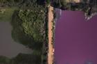 Đầm phá ở Paraguay biến thành màu tím vì ô nhiễm