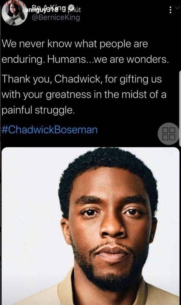 Bảo Thy, Văn Mai Hương và dàn sao Việt tiếc thương sự ra đi của Chadwick Boseman-2