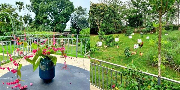 Đọ cơ ngơi các cá mập của Thương Vụ Bạc Tỷ: Ai mới là số 1 trong hội đại gia ngầm?-4