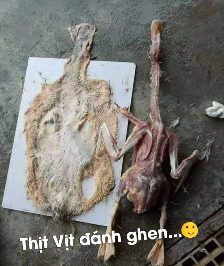 Nhìn mà tức với các pha xử lý thịt gà, vịt cồng kềnh của hội gái vụng-1