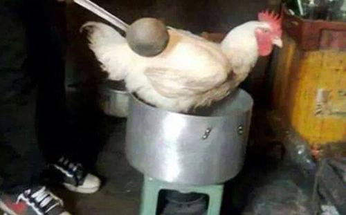 Nhìn mà tức với các pha xử lý thịt gà, vịt cồng kềnh của hội gái vụng-7