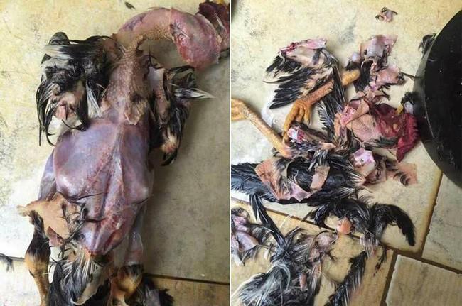 Nhìn mà tức với các pha xử lý thịt gà, vịt cồng kềnh của hội gái vụng-8