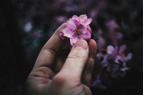 Bố nghiện, mẹ bỏ đi, nam sinh tật nguyền rửa bát thuê nuôi ước mơ đại học-8