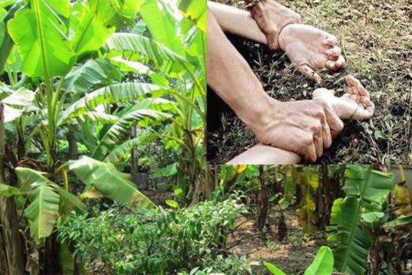 Kết quả ADN tố cáo yêu râu xanh cưỡng hiếp bé gái 12 tuổi ở vườn chuối-2