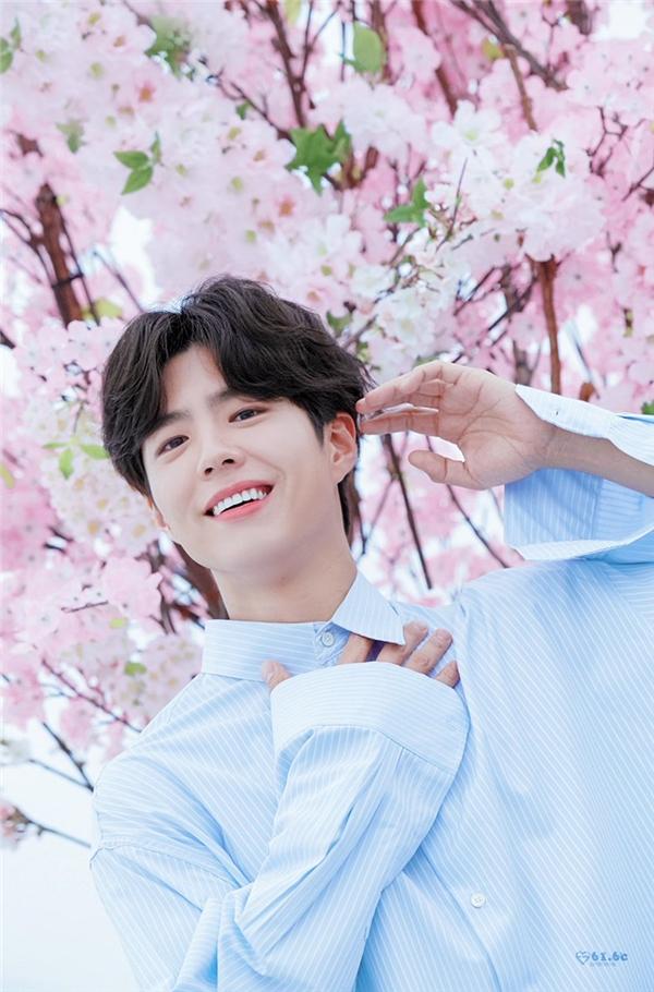 Park Bo Gum và những bí mật liệu bạn đã biết hết?-3